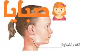 الغدد اللمفاوية وأسباب التهابها وعلاجها 1