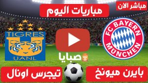 بايرن ميونخ و تايجرس بث مباشر
