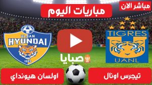 تيجرس وأولسان هيونداي بث مباشر