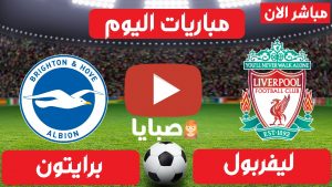 مباراة ليفربول وبرايتون بث مباشر