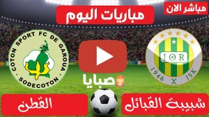 شبيبة القبائل والقطن بث مباشر