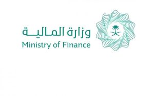 العوائد السنوية