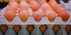 طرق صحية لإعداد البيض